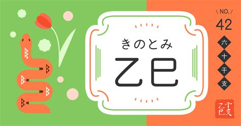 乙巳年 性格|『乙巳(きのとみ)』の性格や特徴は？